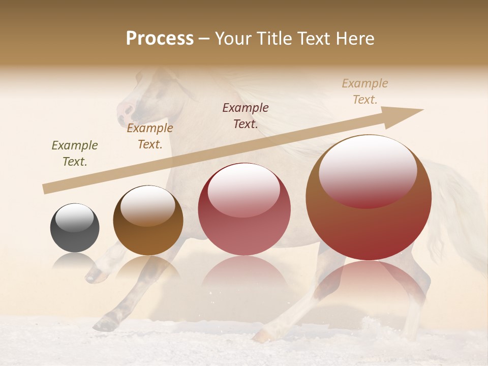 Horse Wallpaper For Desktop PowerPoint Template