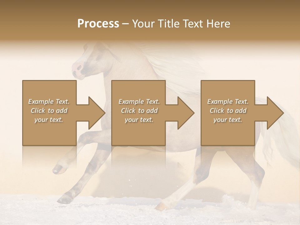 Horse Wallpaper For Desktop PowerPoint Template