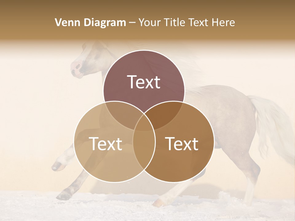 Horse Wallpaper For Desktop PowerPoint Template