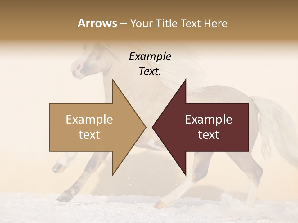 Horse Wallpaper For Desktop PowerPoint Template