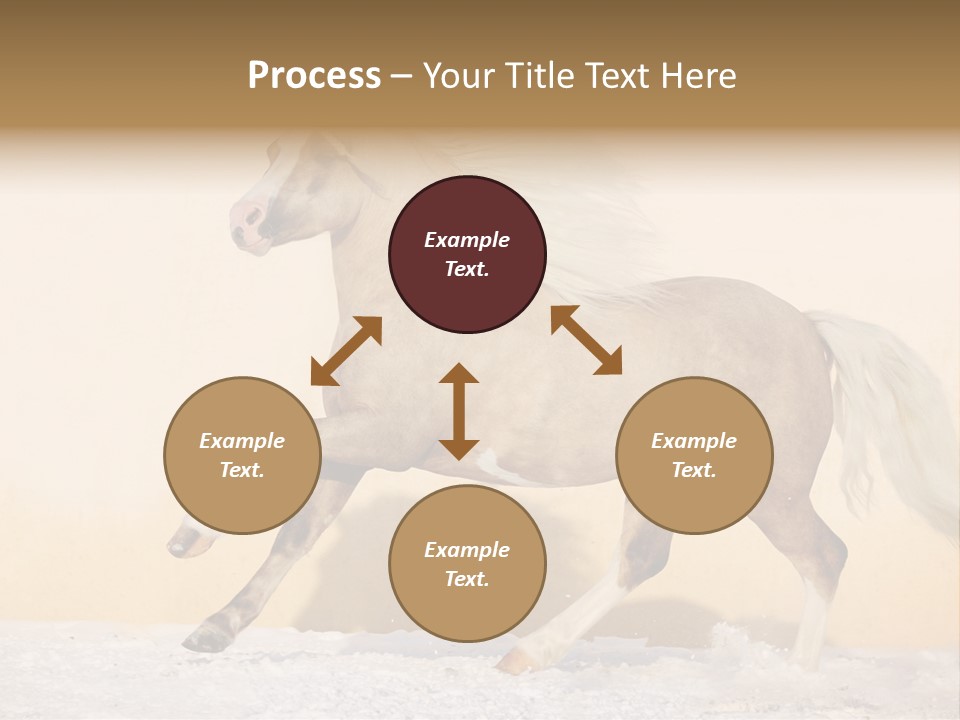 Horse Wallpaper For Desktop PowerPoint Template