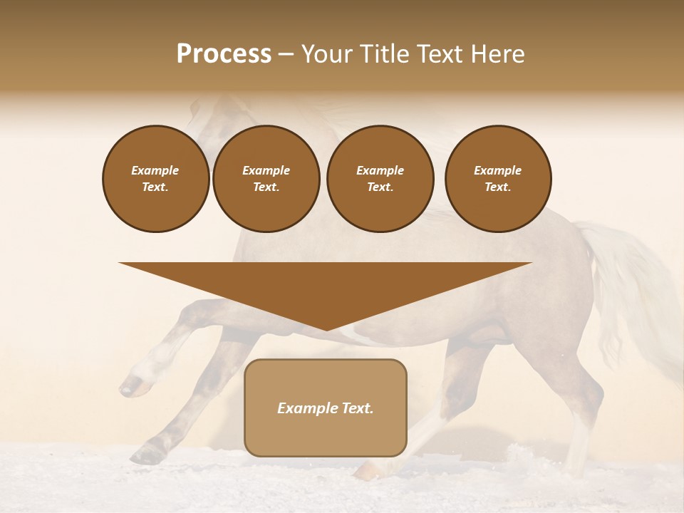 Horse Wallpaper For Desktop PowerPoint Template