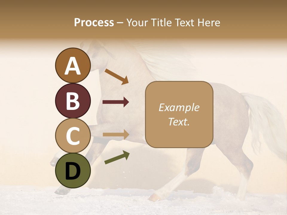 Horse Wallpaper For Desktop PowerPoint Template