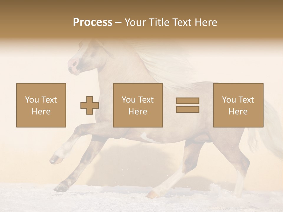 Horse Wallpaper For Desktop PowerPoint Template