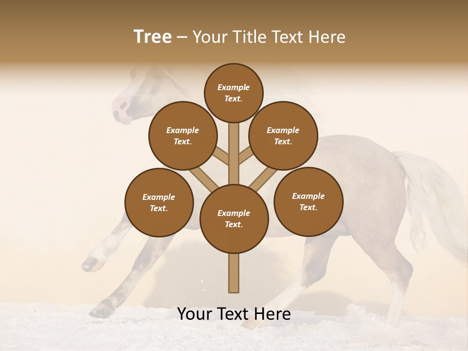 Horse Wallpaper For Desktop PowerPoint Template