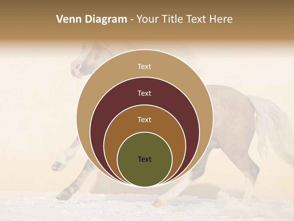 Horse Wallpaper For Desktop PowerPoint Template
