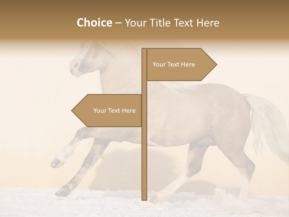 Horse Wallpaper For Desktop PowerPoint Template