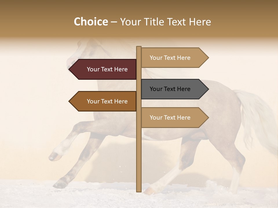 Horse Wallpaper For Desktop PowerPoint Template
