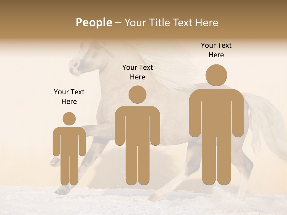 Horse Wallpaper For Desktop PowerPoint Template
