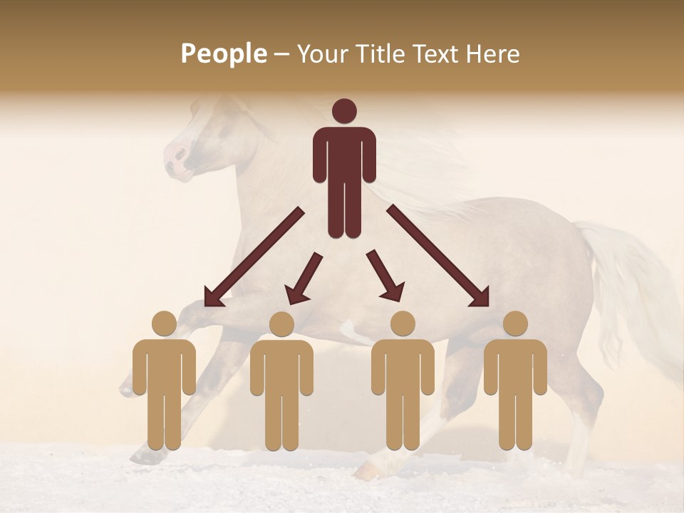 Horse Wallpaper For Desktop PowerPoint Template