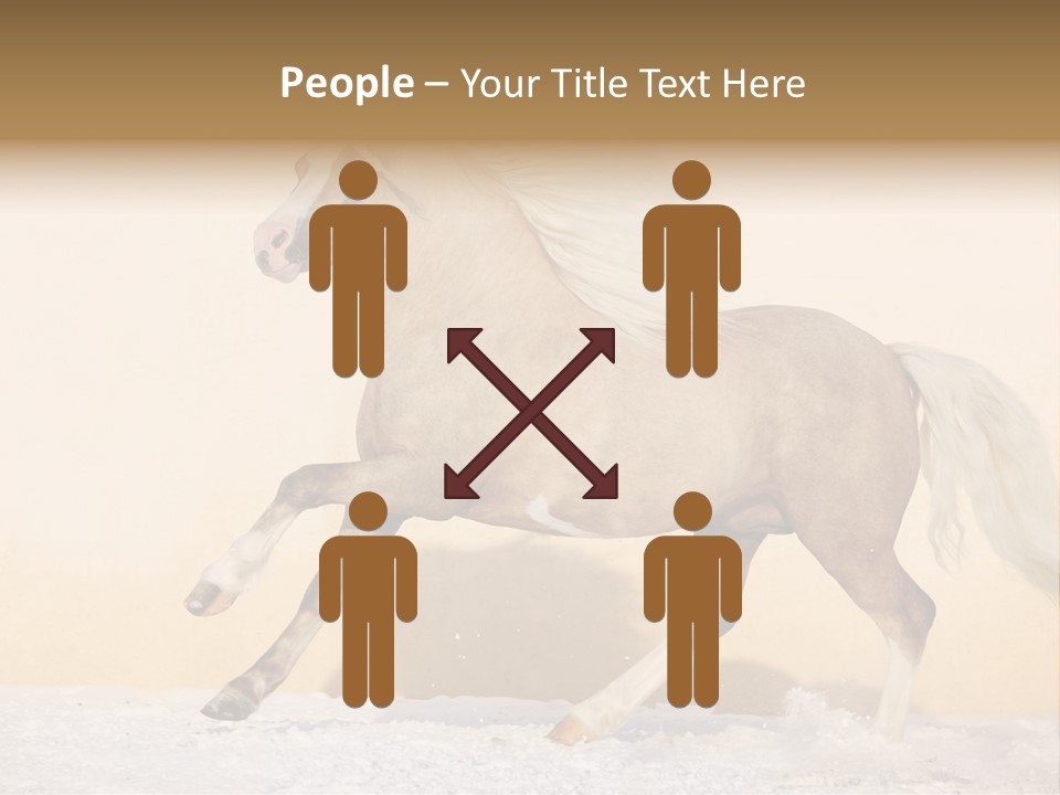 Horse Wallpaper For Desktop PowerPoint Template