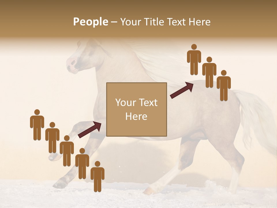 Horse Wallpaper For Desktop PowerPoint Template
