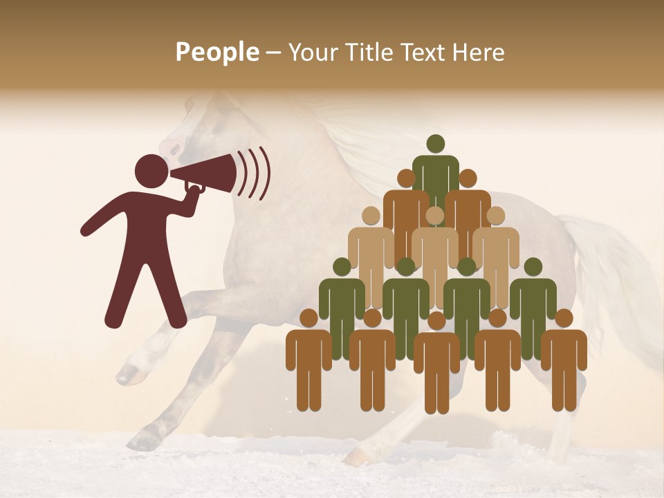 Horse Wallpaper For Desktop PowerPoint Template