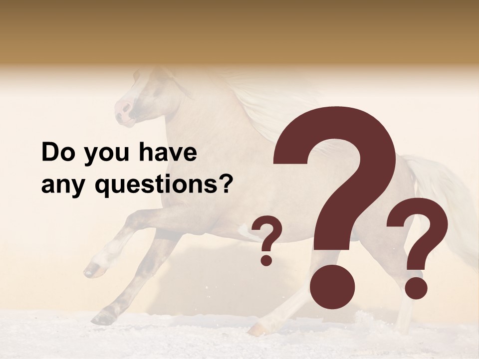 Horse Wallpaper For Desktop PowerPoint Template