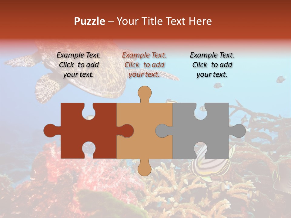 Coral Reefs PowerPoint Template