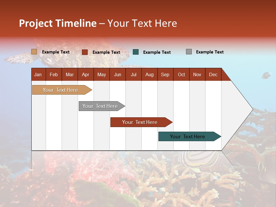 Coral Reefs PowerPoint Template