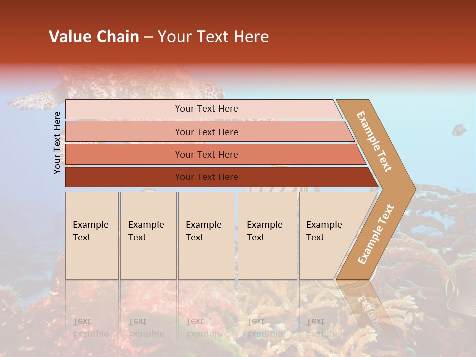 Coral Reefs PowerPoint Template