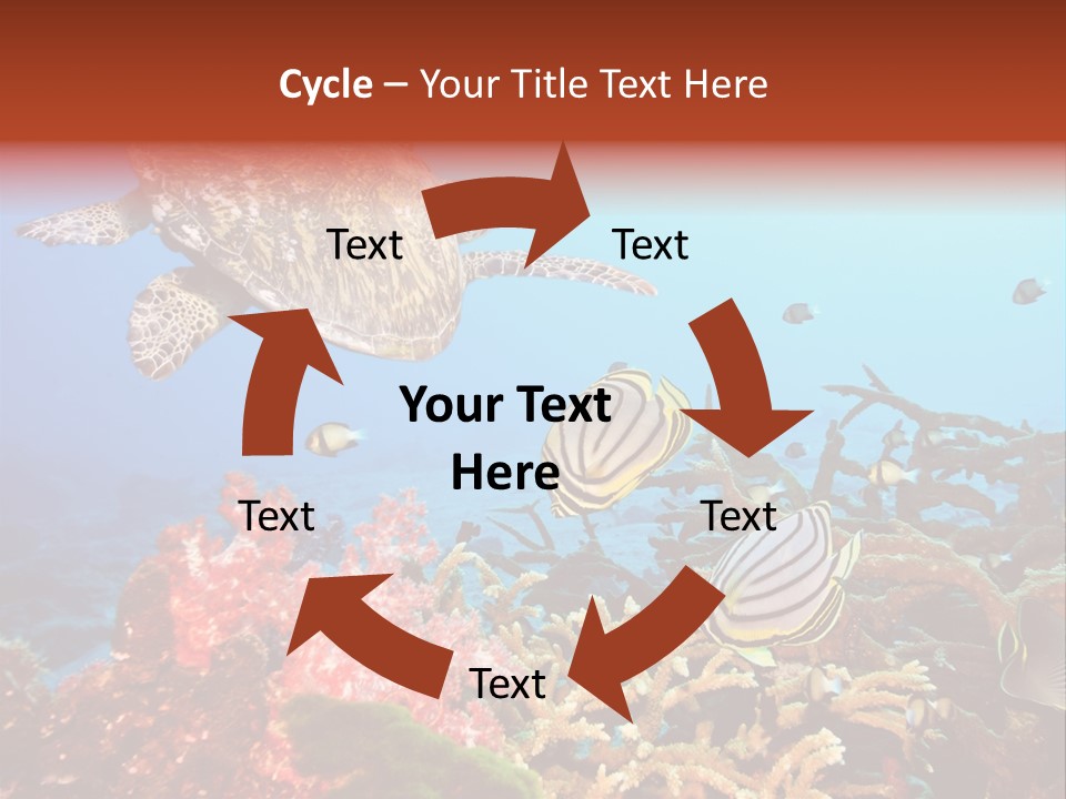 Coral Reefs PowerPoint Template