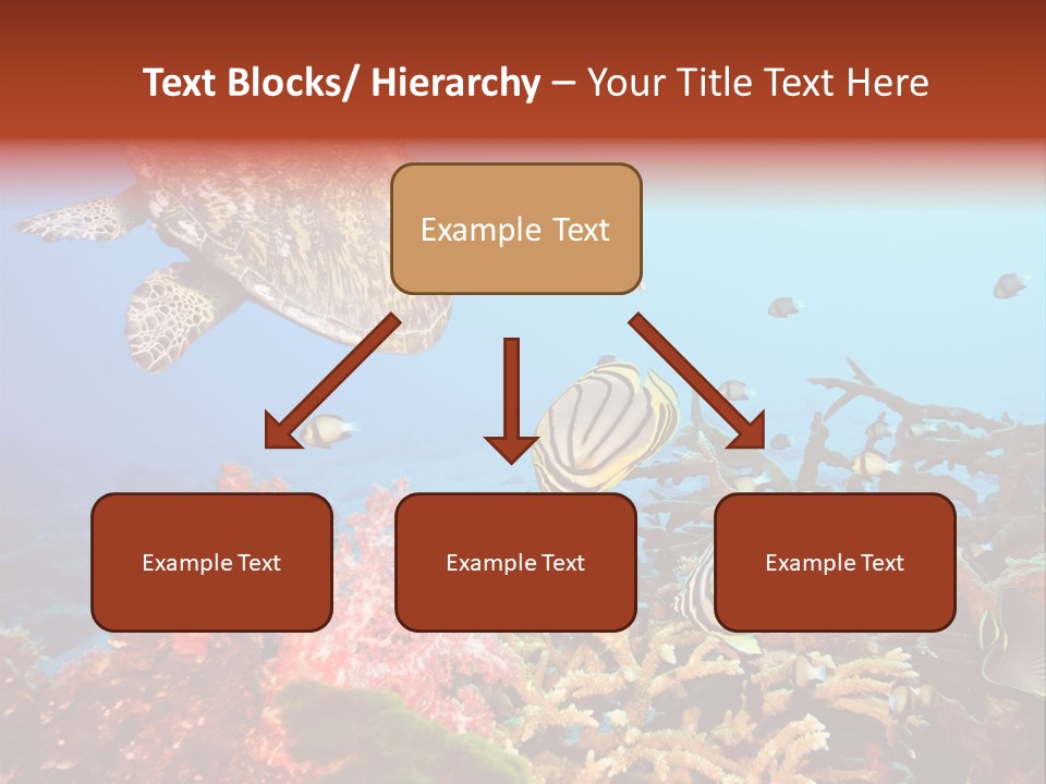 Coral Reefs PowerPoint Template