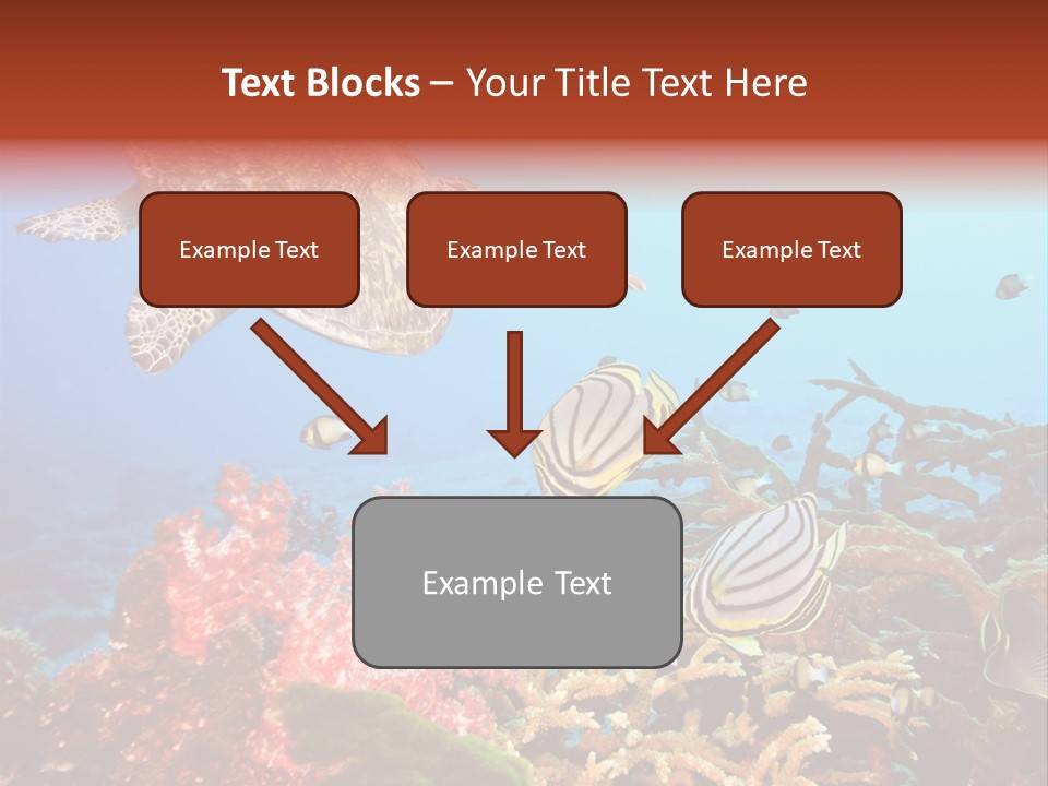 Coral Reefs PowerPoint Template