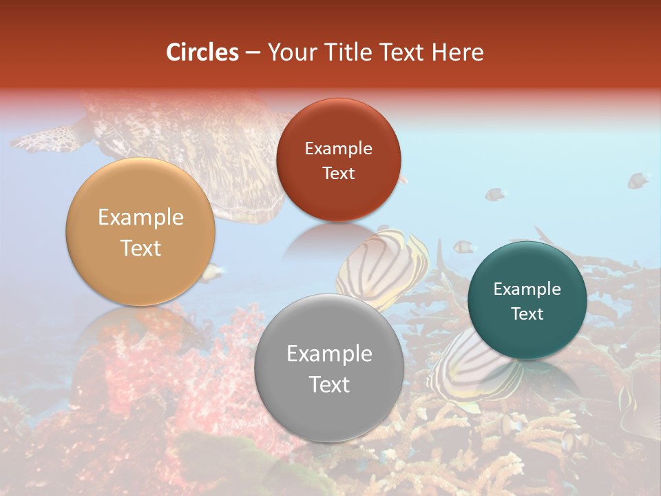 Coral Reefs PowerPoint Template