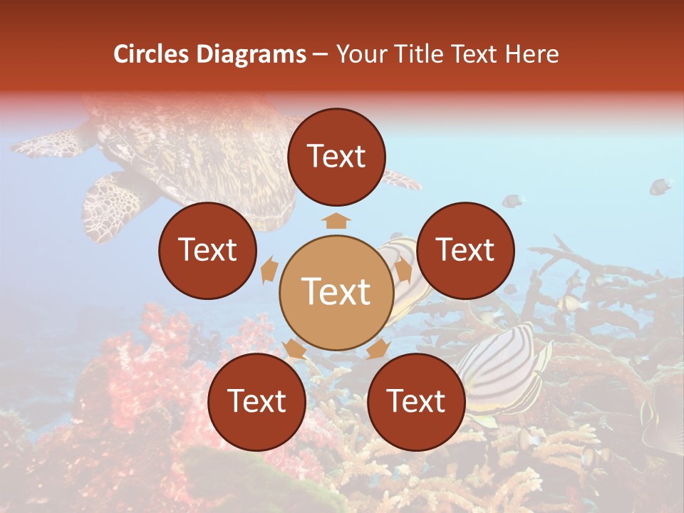 Coral Reefs PowerPoint Template