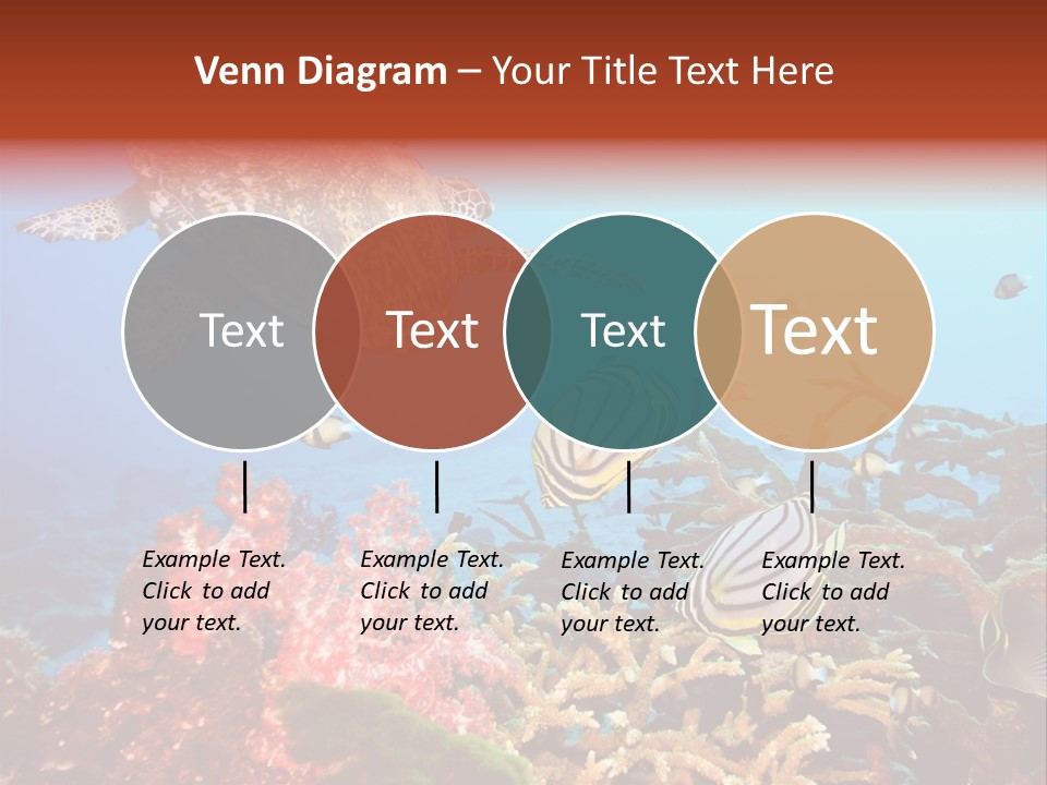 Coral Reefs PowerPoint Template