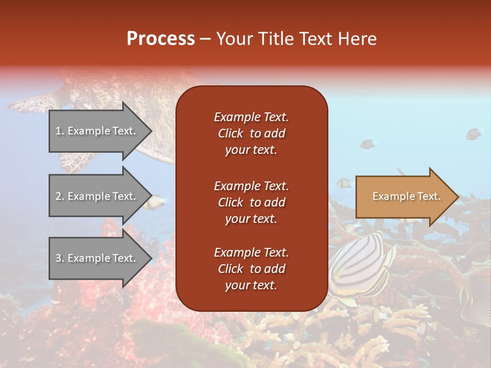 Coral Reefs PowerPoint Template