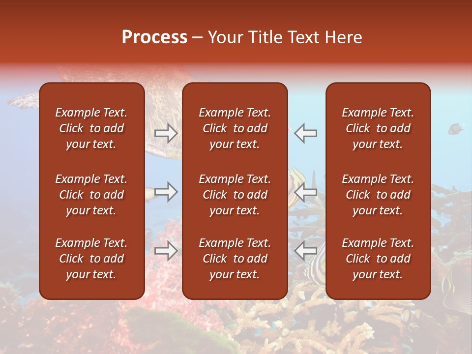 Coral Reefs PowerPoint Template