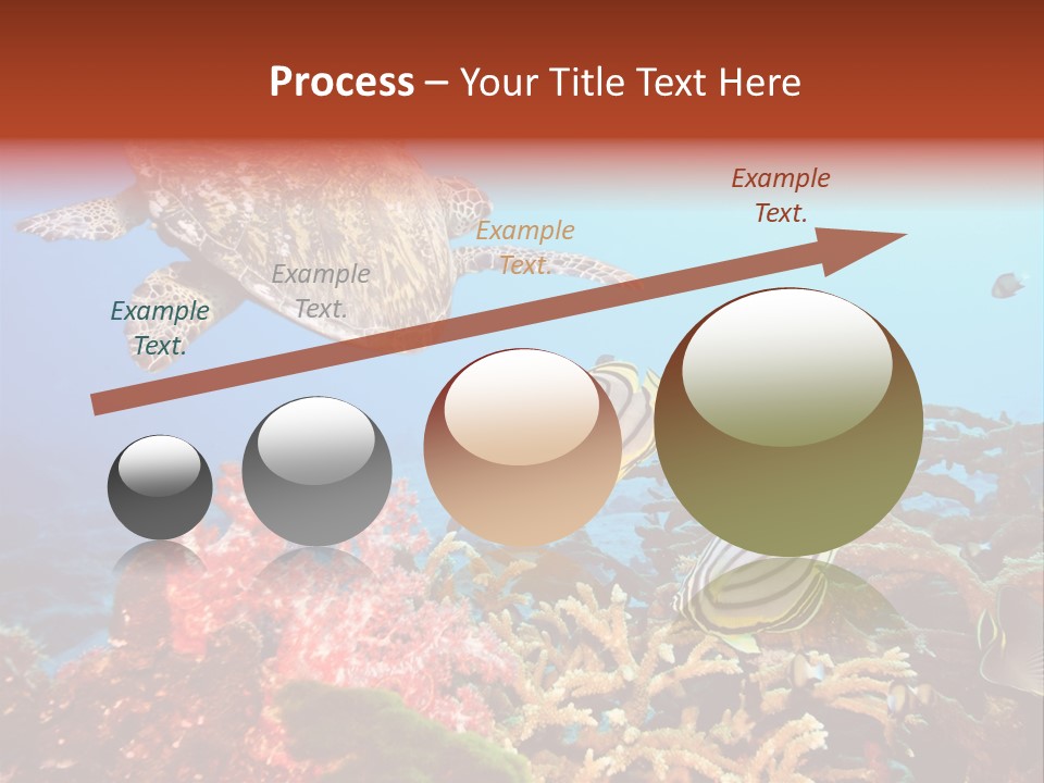 Coral Reefs PowerPoint Template