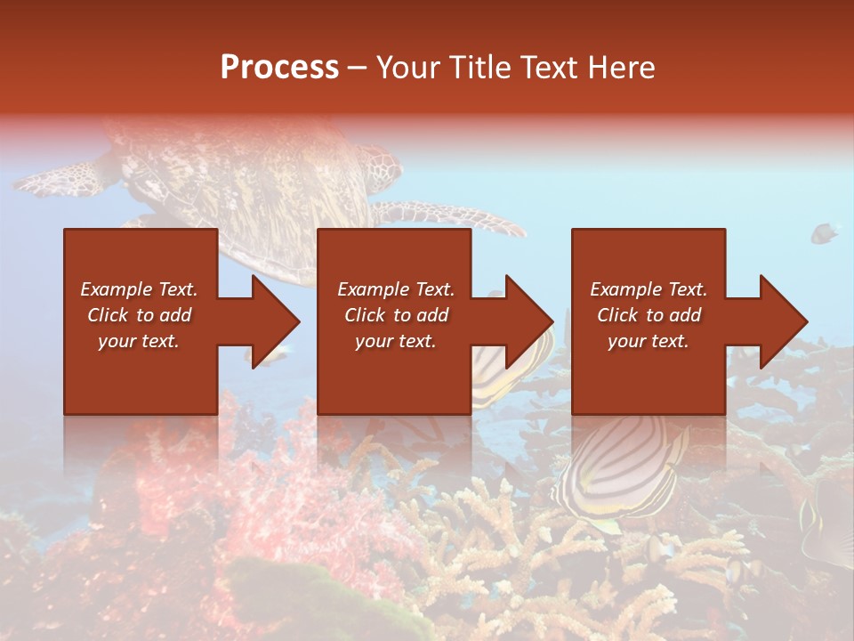 Coral Reefs PowerPoint Template
