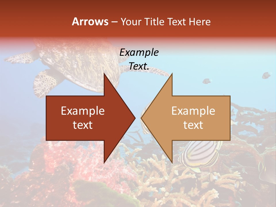 Coral Reefs PowerPoint Template