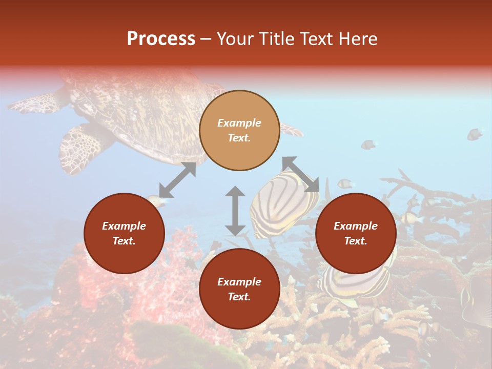 Coral Reefs PowerPoint Template