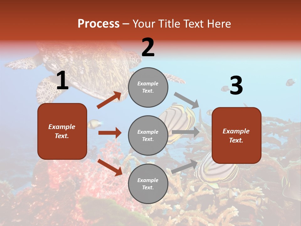 Coral Reefs PowerPoint Template