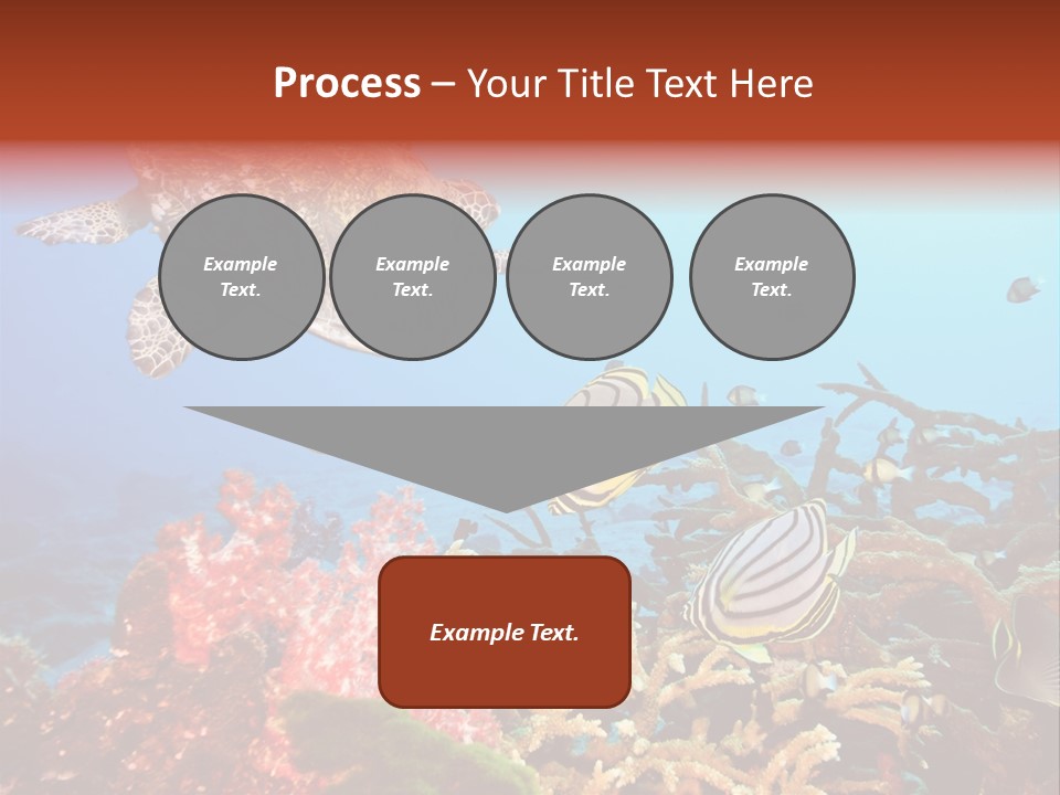 Coral Reefs PowerPoint Template