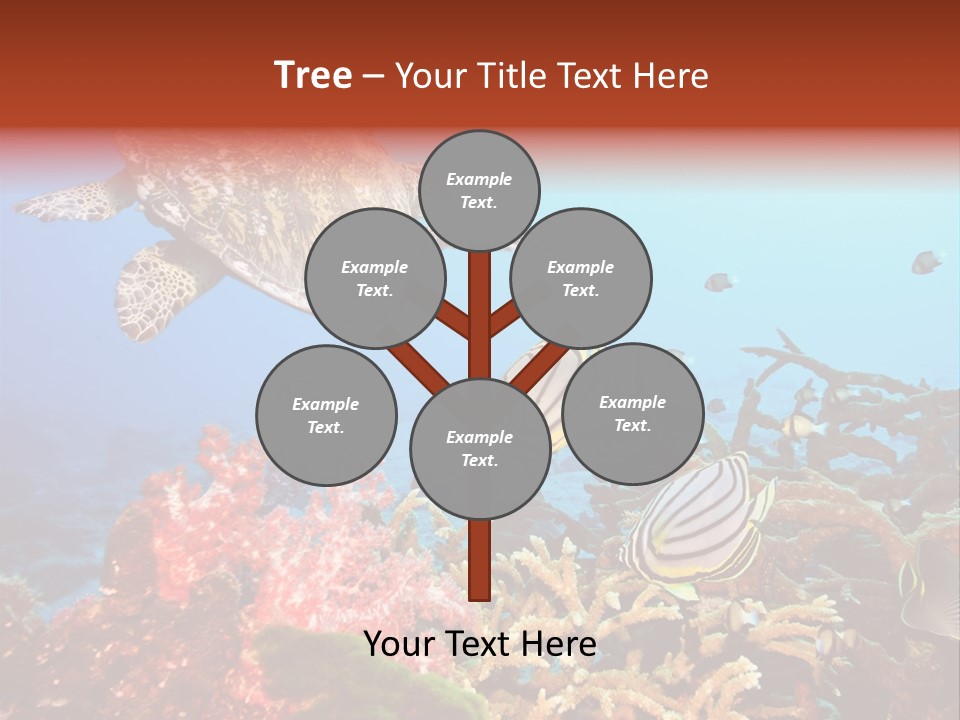 Coral Reefs PowerPoint Template