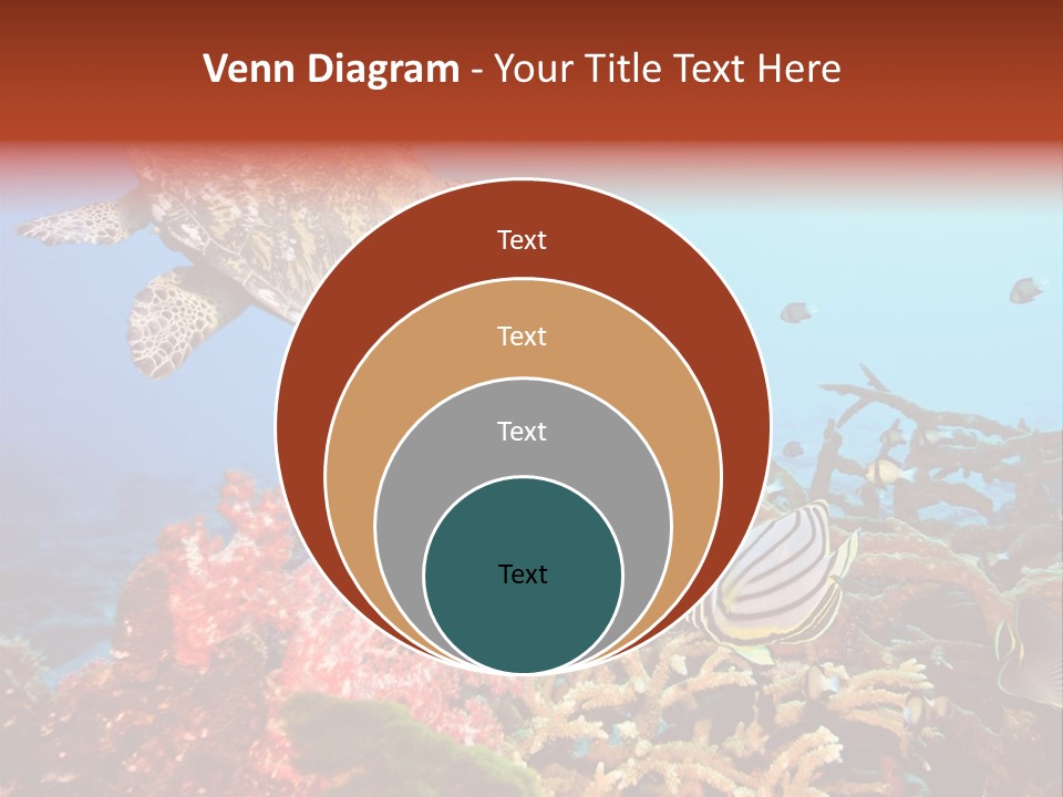 Coral Reefs PowerPoint Template