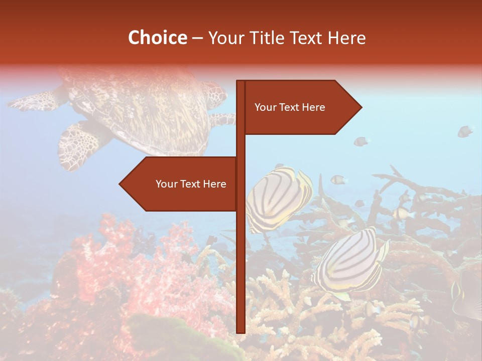 Coral Reefs PowerPoint Template