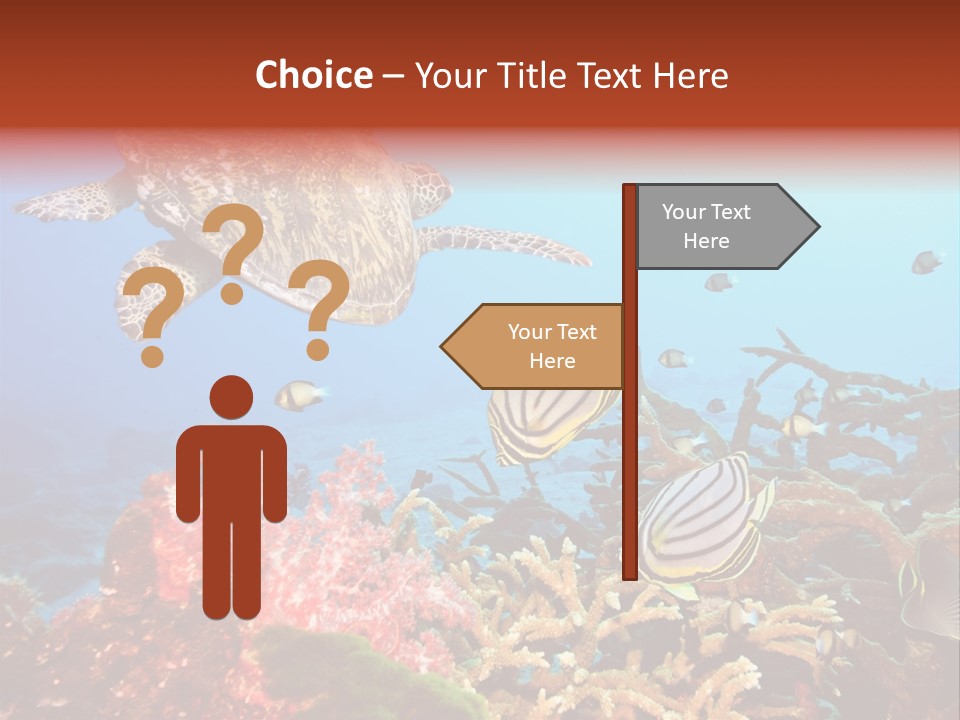 Coral Reefs PowerPoint Template