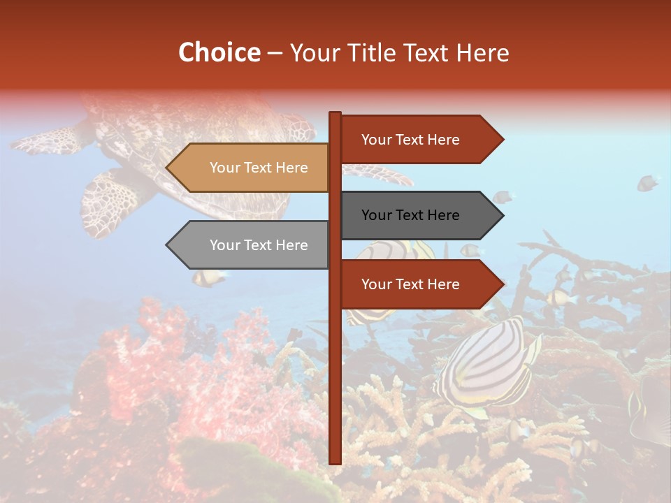 Coral Reefs PowerPoint Template