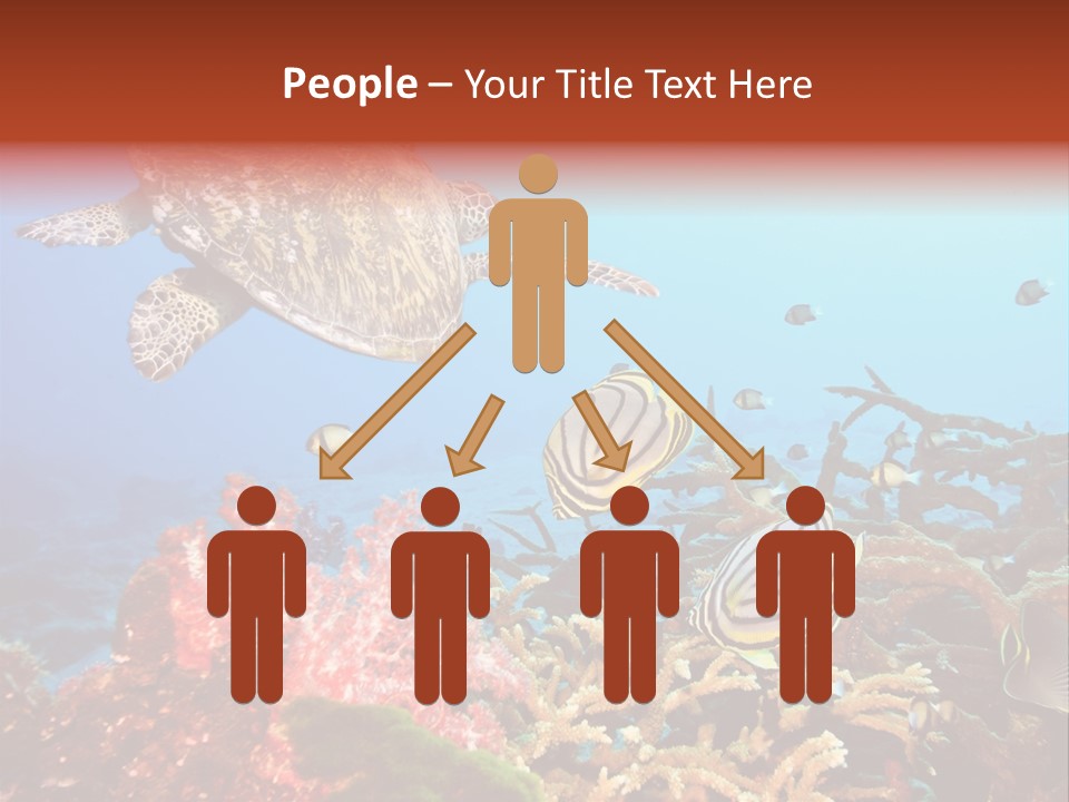 Coral Reefs PowerPoint Template
