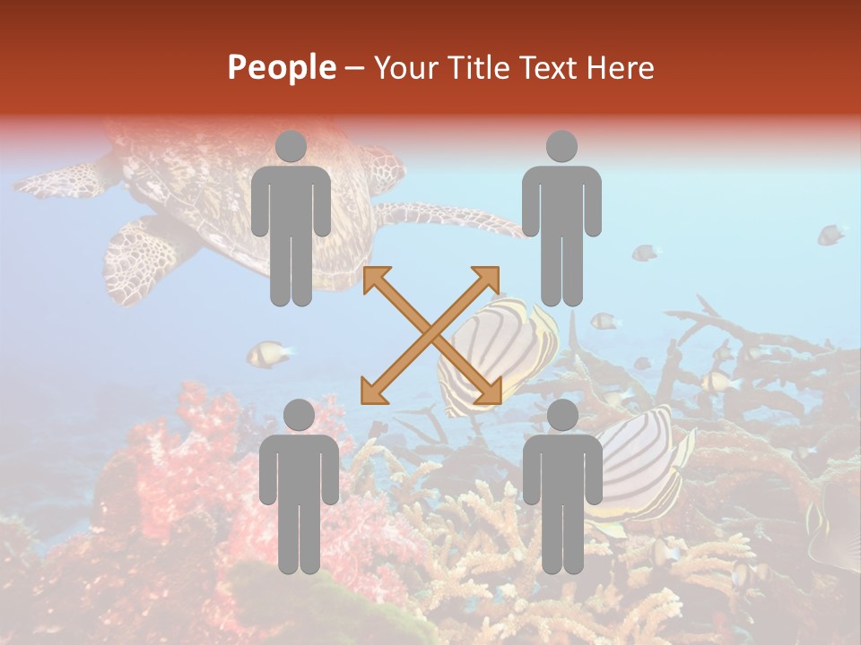 Coral Reefs PowerPoint Template