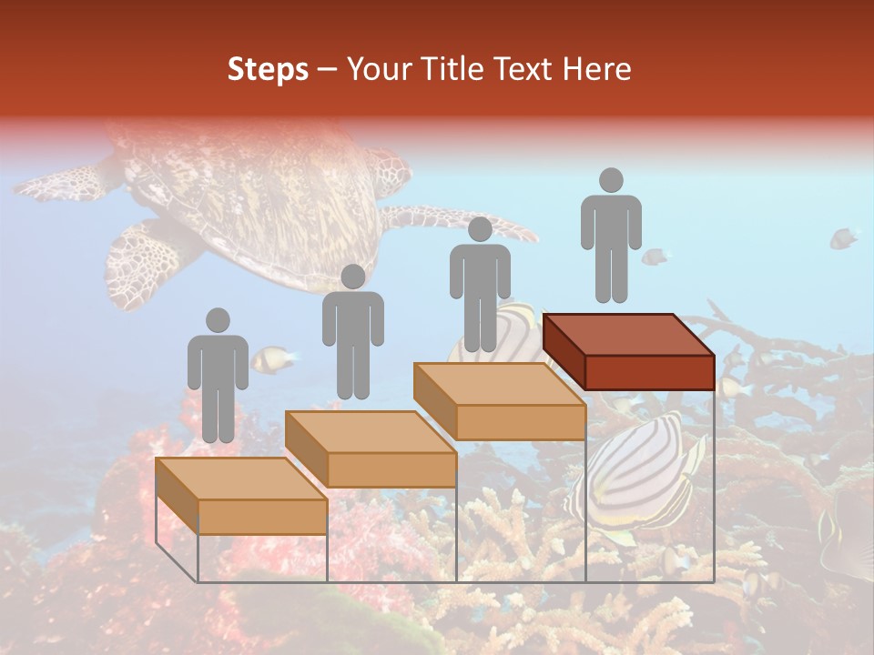 Coral Reefs PowerPoint Template