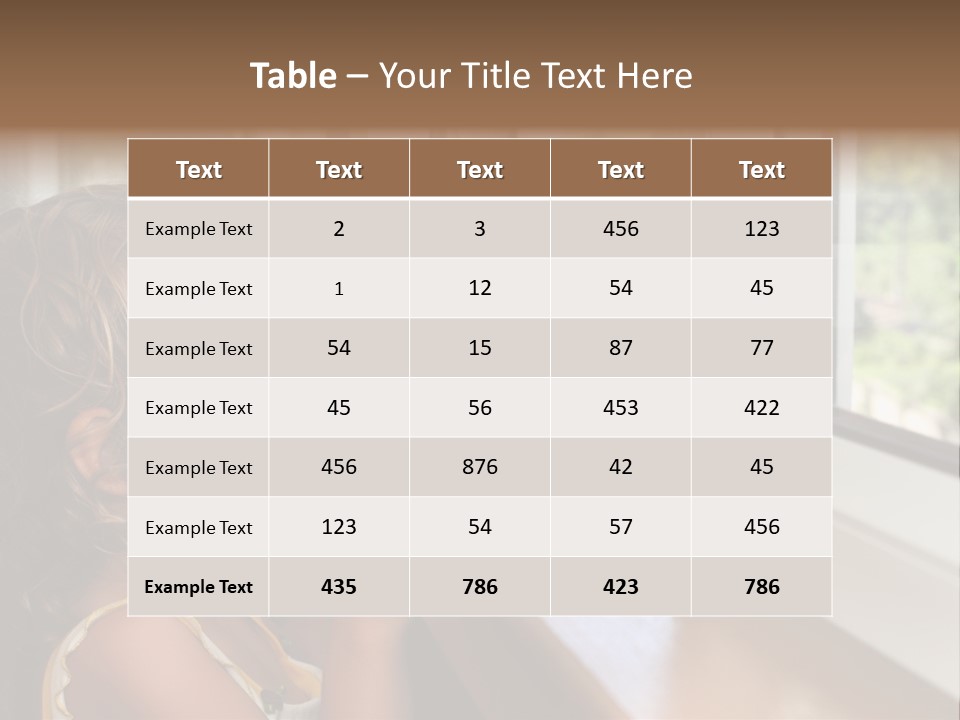 Window Replacement PowerPoint Template