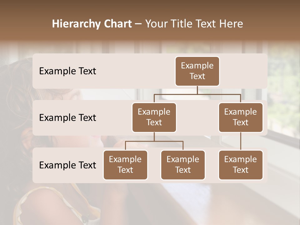 Window Replacement PowerPoint Template