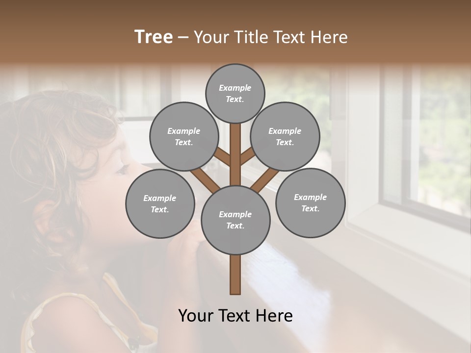 Window Replacement PowerPoint Template