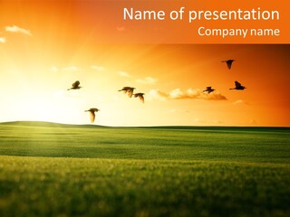 Dawn Sky Light PowerPoint Template