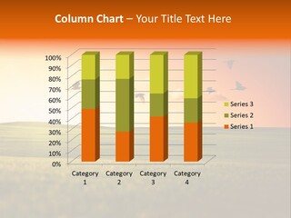 Dawn Sky Light PowerPoint Template