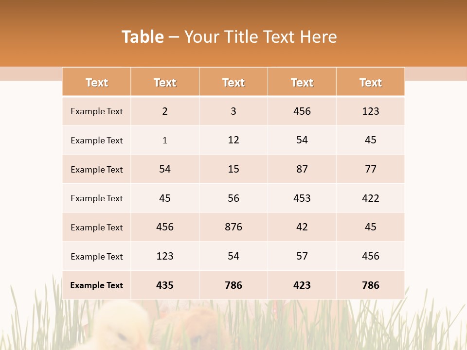 Nature Look Surprise PowerPoint Template