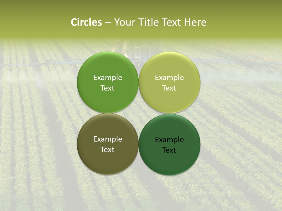 Farm Pesticides PowerPoint Template